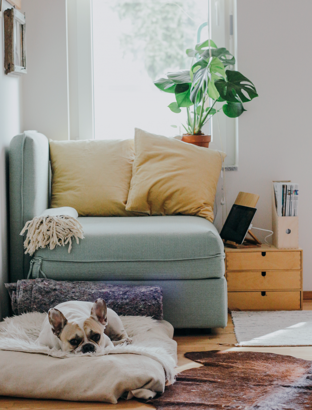 Automazione per case piccole